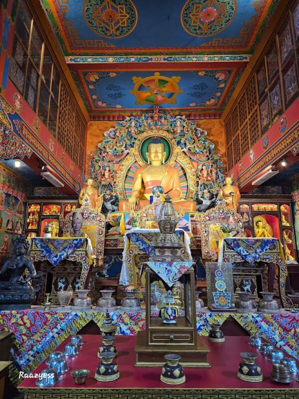 Pokhara Monasteries Sightseeing Tour - Image 9