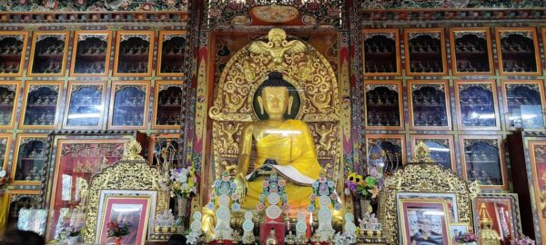 Pokhara Monasteries Sightseeing Tour - Image 2